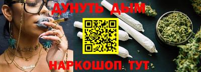 дмт Обь