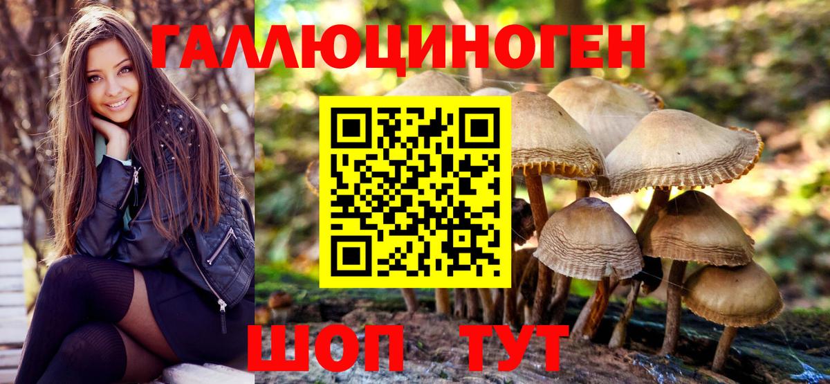 Галлюциногенные грибы Psilocybe  Вход с VPN  Биробиджан 