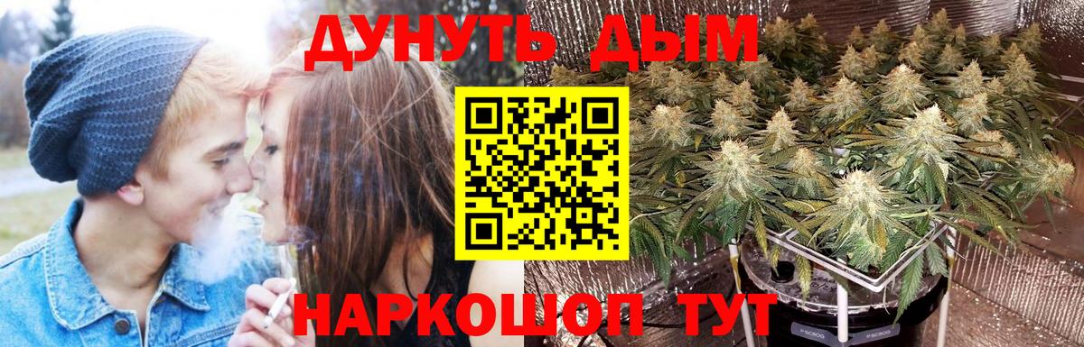 Канабис семена  Вход с VPN  Канабис OG Kush  Биробиджан 